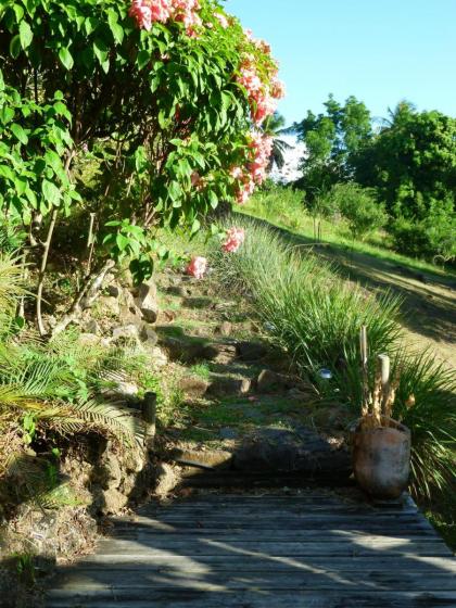 Les jardins de Cousinière - image 7