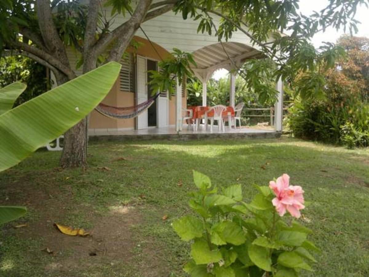 Residence Corail - main image