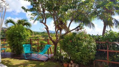 Maison de 2 chambres avec vue sur la mer jardin clos et wifi a Vieux Habitants a 2 km de la plage - image 3