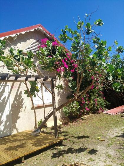 Villa de 4 chambres a Moule a 50 m de la plage avec vue sur la mer piscine privee et jardin clos - image 12