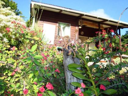 Bungalow with one bedroom in PointeNoire with furnished garden and WiFi - image 19