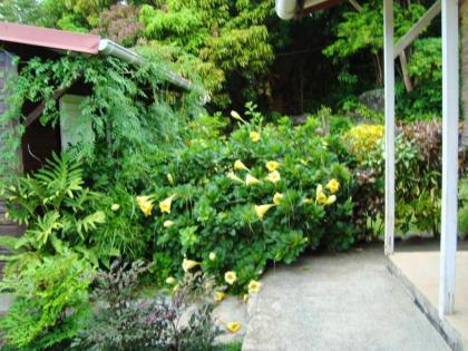 Bungalow with one bedroom in PointeNoire with furnished garden and WiFi - image 9