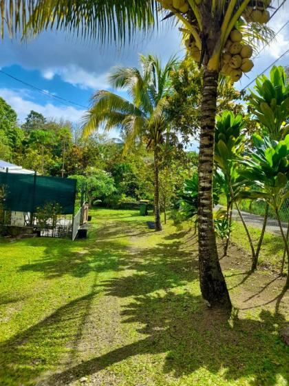 Appartement d'une chambre avec jardin amenage et wifi a Sainte Rose a 5 km de la plage - image 7