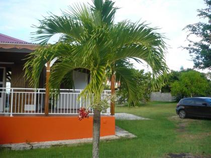 Maison de 3 chambres avec jardin clos et wifi a Anse Bertrand a 7 km de la plage - image 16