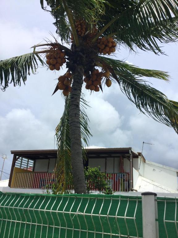 Maison de 2 chambres avec jardin clos et wifi a Le Moule a 2 km de la plage - image 3