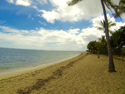 Studio a Le Moule a 30 m de la plage avec jardin clos et wifi - image 15