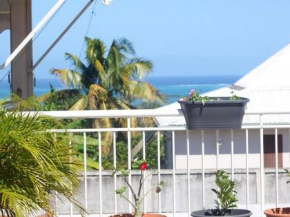 Maison de 4 chambres avec vue sur la mer jacuzzi et jardin clos a Sainte Rose a 5 km de la plage - image 14