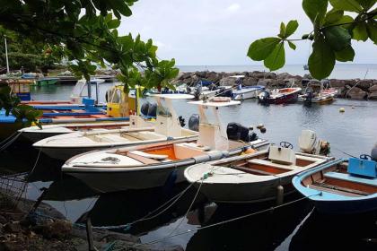 Propriete de 3 chambres avec vue sur la mer jardin amenage et wifi a Vieux Fort - image 19