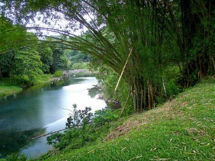 JADEN KREYOL - Gîte de charme avec jacuzzi au centre de la Guadeloupe - image 19