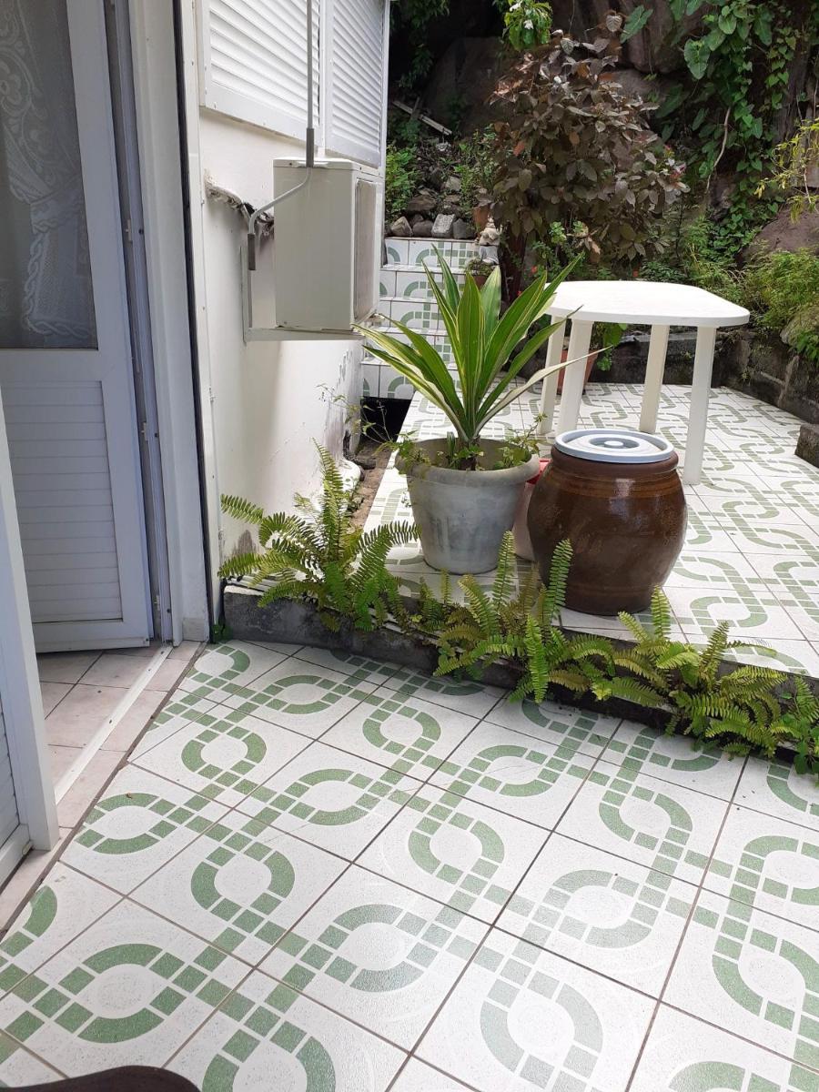 Appartement d'une chambre a Pointe Noire a 10 m de la plage avec vue sur la mer terrasse et wifi - main image