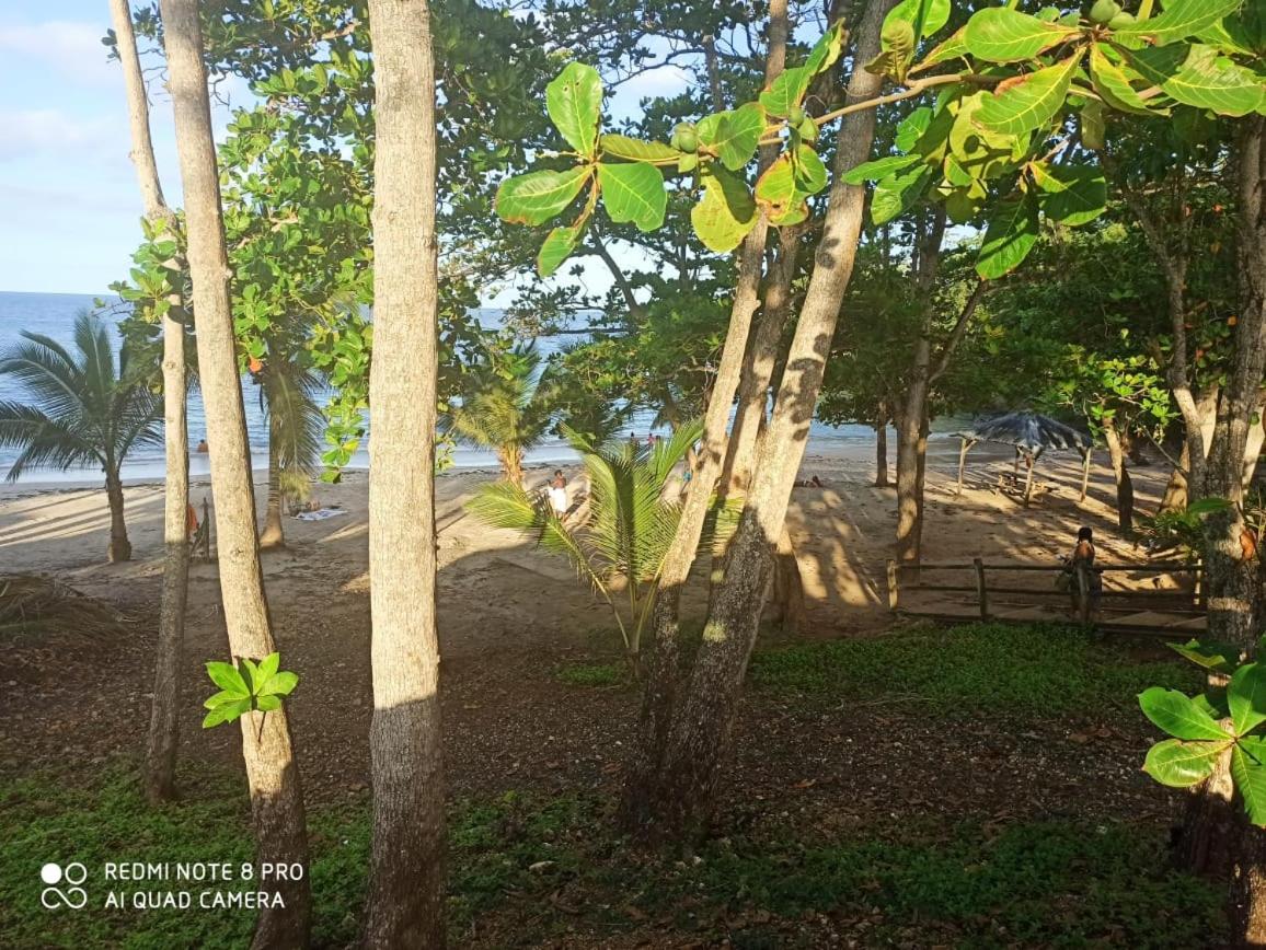 Saint Rose : Charmant T3 proche de la plage - image 2