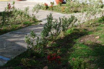 Bungalow d'une chambre avec jardin amenage et wifi a Le Moule - image 12