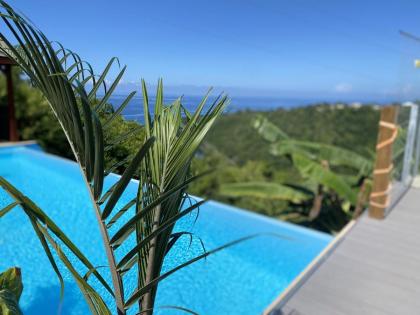 Bungalow d'une chambre avec vue sur la mer piscine partagee et terrasse a Marigot Vieux Habitants a 6 km de la plage - image 13