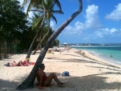 Appartement d'une chambre a Le Moule a 30 m de la plage avec vue sur la mer jardin clos et wifi - image 16