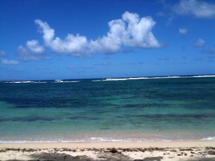 Appartement d'une chambre a Le Moule a 30 m de la plage avec vue sur la mer jardin clos et wifi - image 17