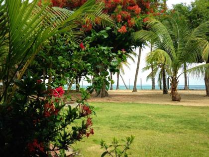 Appartement d'une chambre a Le Moule a 30 m de la plage avec vue sur la mer jardin clos et wifi - image 18