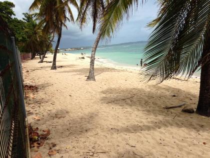 Appartement d'une chambre a Le Moule a 30 m de la plage avec vue sur la mer jardin clos et wifi - image 19