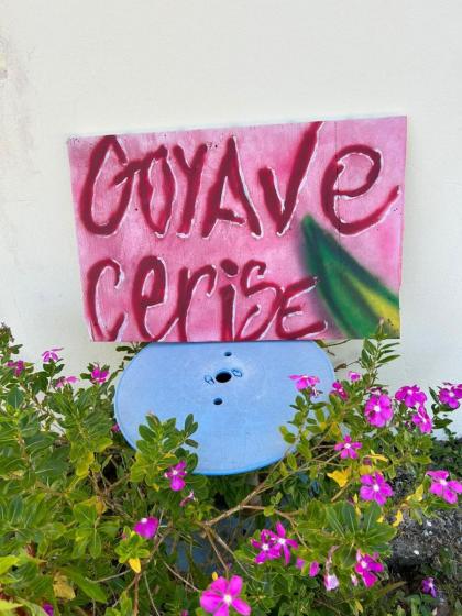 Goyave-Cerise - image 11